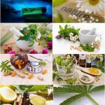 دانلود 25 عکس باکیفیت از گیاهان دارویی