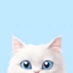 والپیپر موبایل بچه گربه سفید
