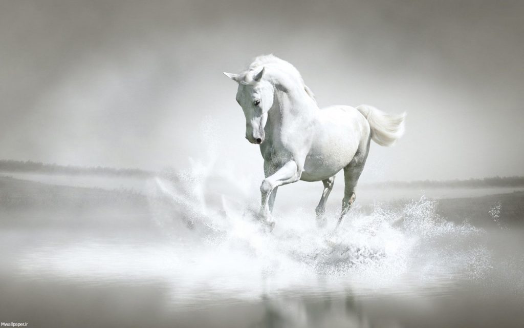 بک گراند هنری اسب سفید
