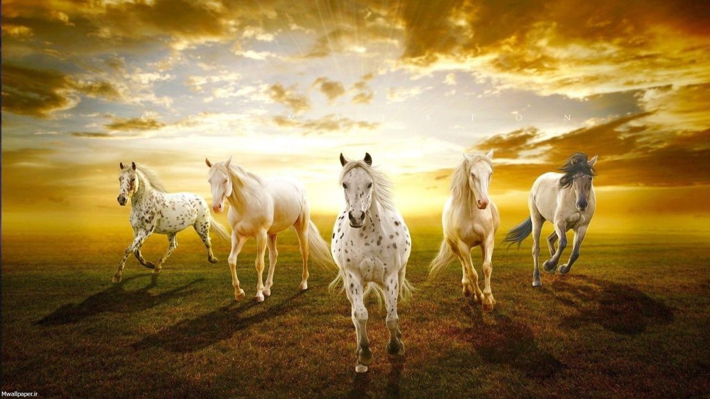 غروب آفتاب و اسب های سفید
