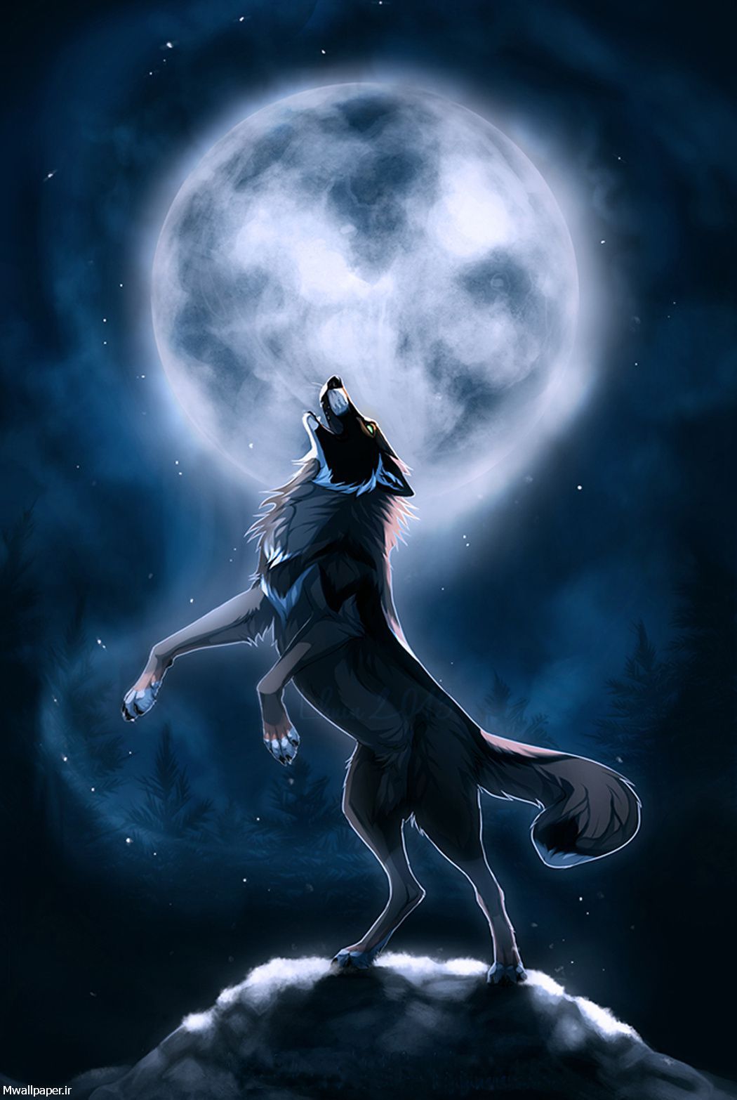 والپیپر زوزه کشیدن گرگ زیر نور ماه