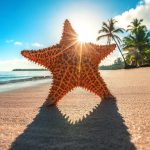 عکس بک گراند ستاره دریایی در ساحل