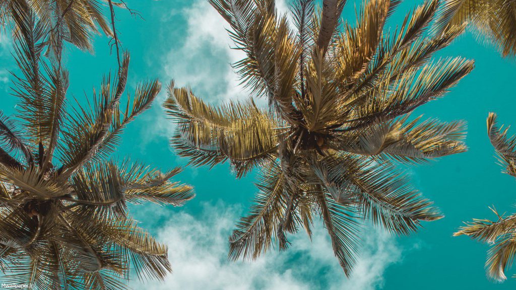 والپیپرهای طبیعت - دسکتاپ