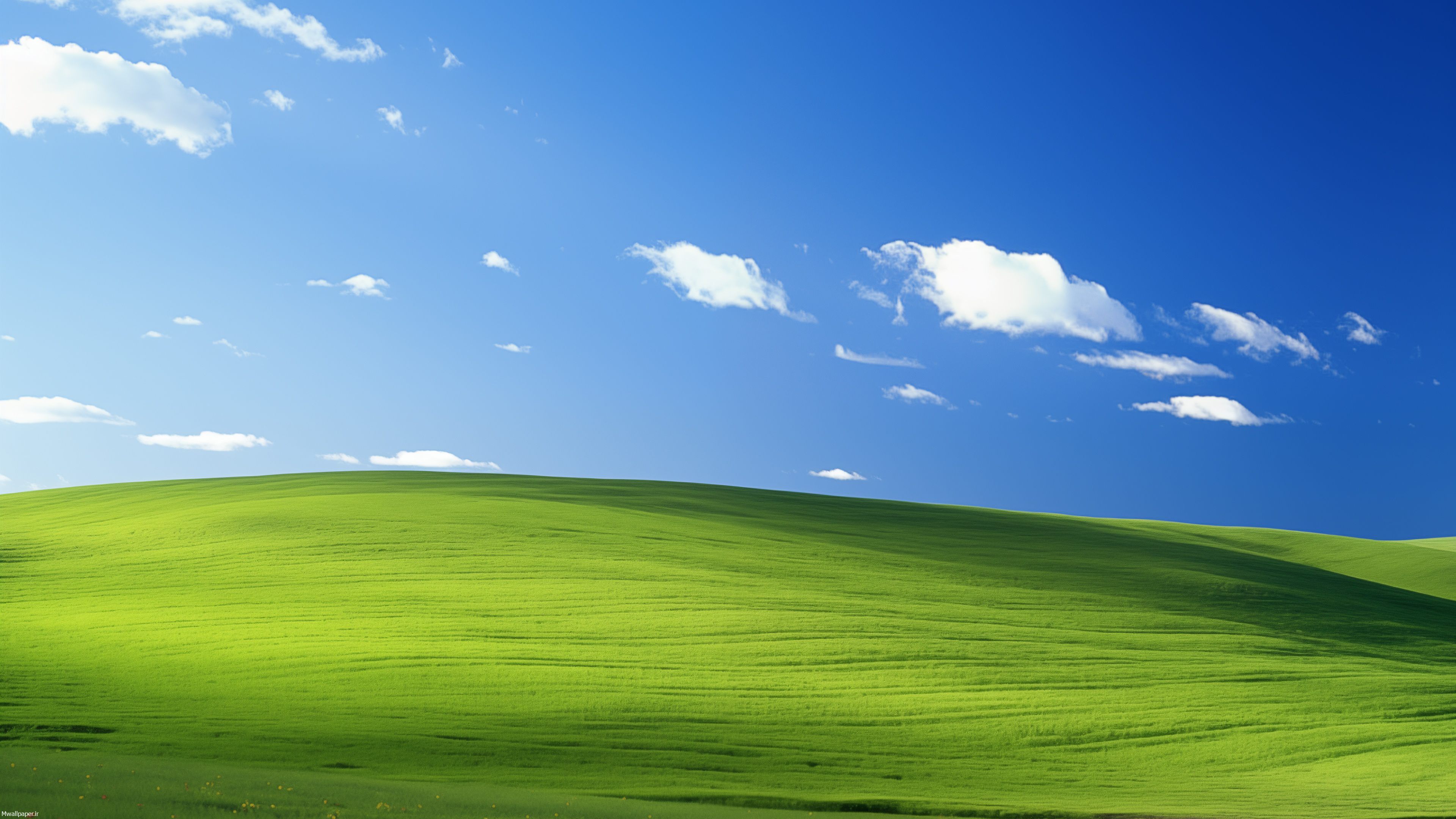 Xp xp