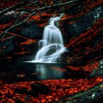 آبشار و برگ های پاییزی