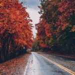 جاده پاییزی برای پس زمینه موبایل