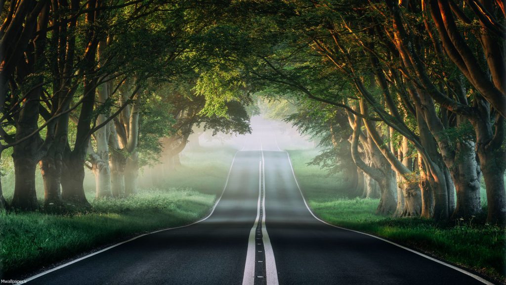 تصویر زمینه طبیعت بهاری