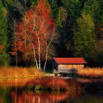 عکس پس زمینه موبایل انعکاس درختان زرد پاییز در دریاچه