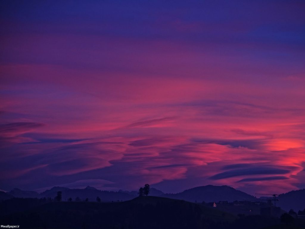 عکس بنفش ساده