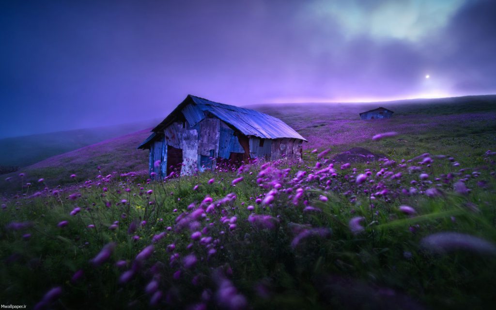  تصویر زمینه طبیعت بهاری