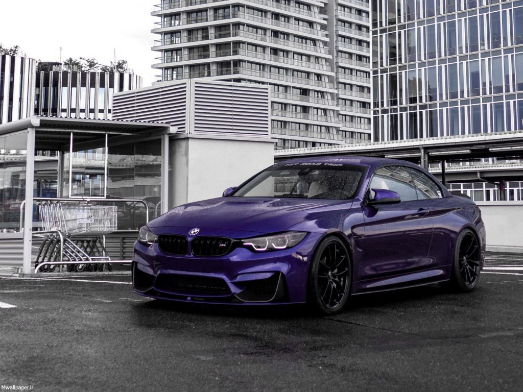 عکس بک گراند بنفش شاخ