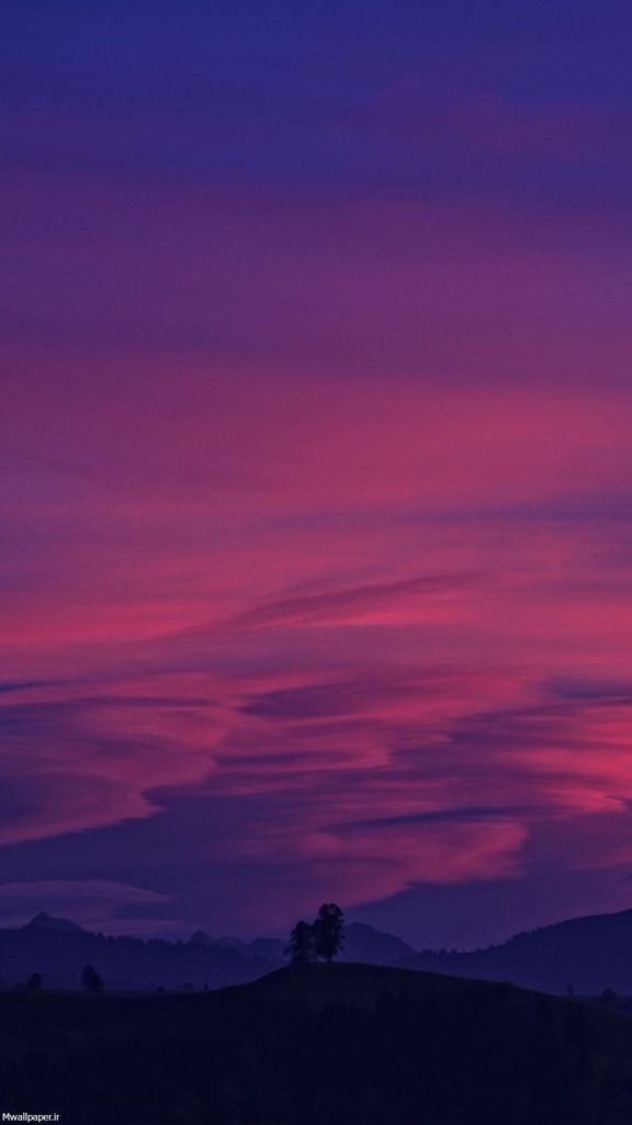 عکس بنفش ساده