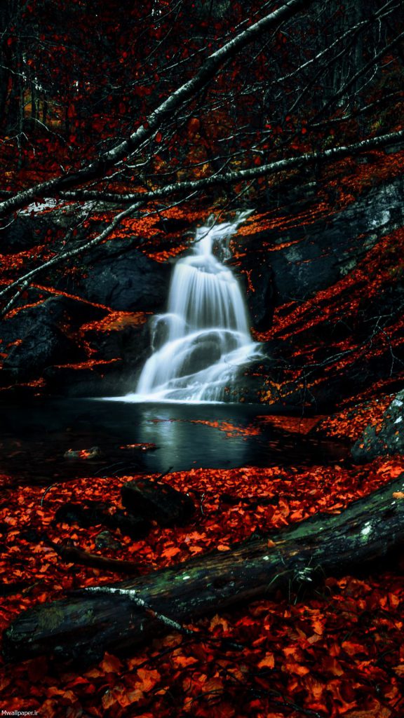 آبشار و برگ های پاییزی