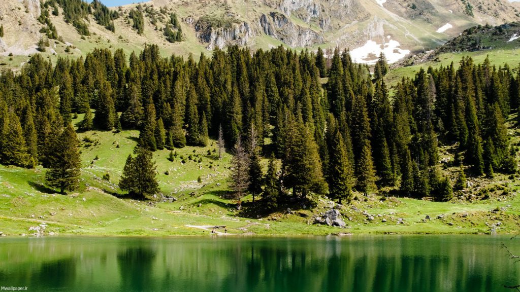 طبیعت بهاری دریاچه Gantrischseeli Lake در سوئیس
