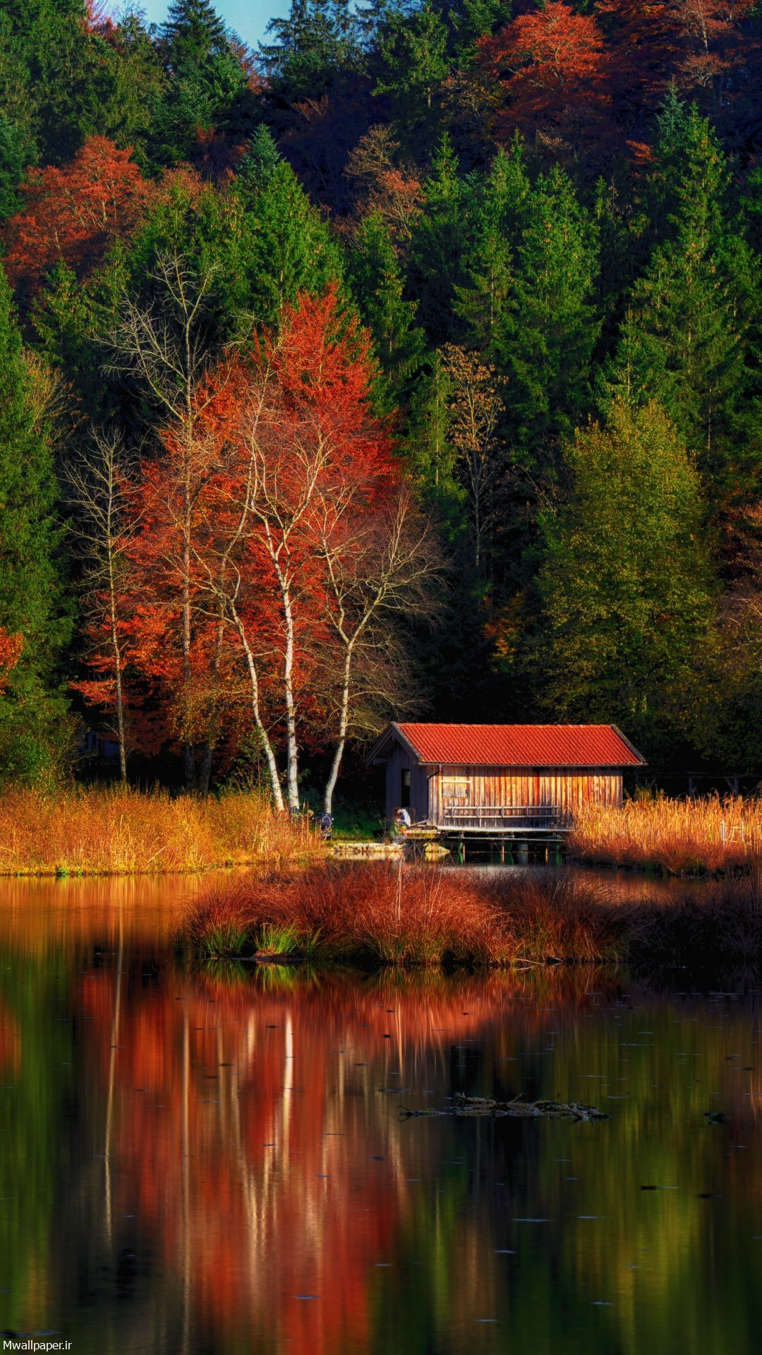 عکس پس زمینه موبایل انعکاس درختان زرد پاییز در دریاچه