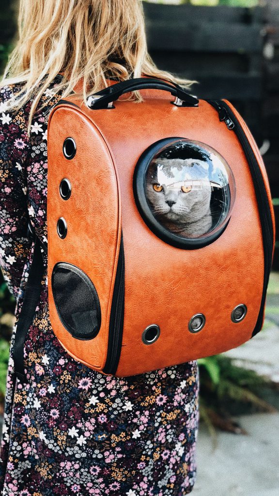  والپيپر حيوانات