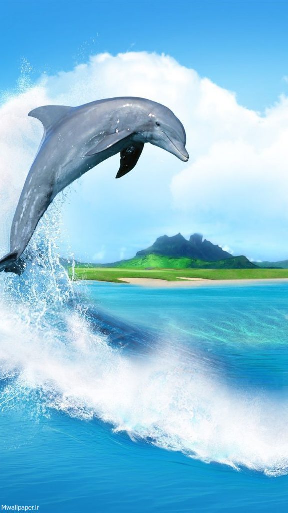 تصویر پس زمینه دلفین برای موبایل