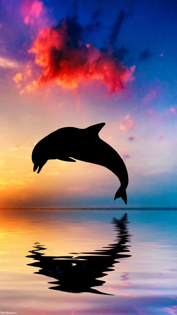 والپیپر خوشگل دریا و پرش دلفین در غروب آفتاب