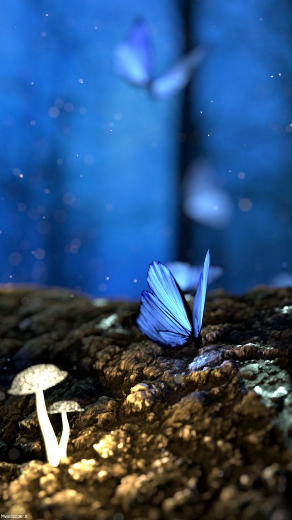 والپیپر موبایل فانتزی پروانه های آبی رنگ