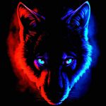 عکس گرگ قرمز و آبی باکیفیت