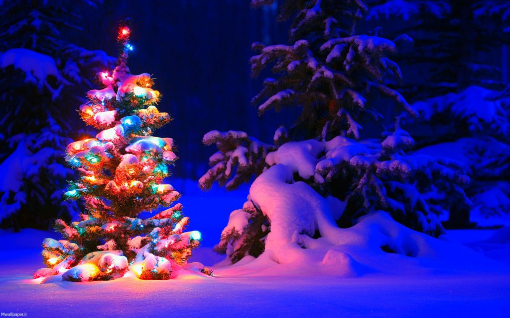 درخت کریسمس با نورآمیزی