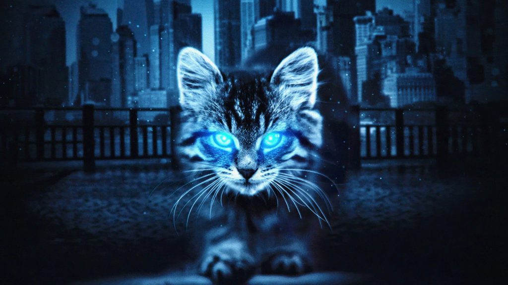 پس زمینه فانتزی گربه چشم آبی
