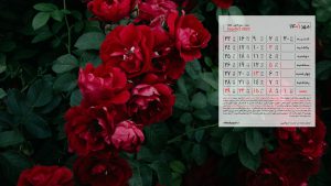 پس زمینه تقویم مهر 1401 با عکس گل رز قرمز