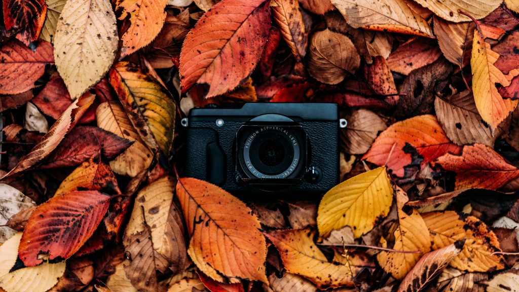 بک گراند دوربین عکاسی با طرح برگ های پاییزی