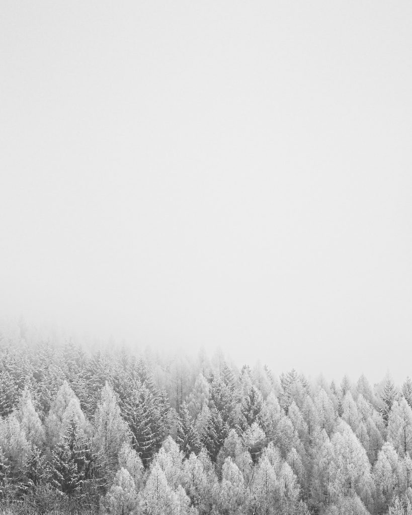 پس زمینه سفید استوری با عکس طبیعت زمستانی