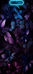 بک گراند استوری هایلایت اینستاگرام