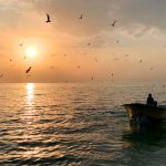 عکس باکیفیت خلیج فارس بندر بوشهر