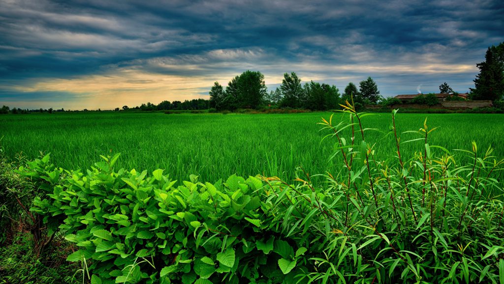 عکس خفن 30 عکس طبیعت ایران برای پروفایل