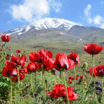 عکس با کیفیت طبیعت ایران قله دماوند