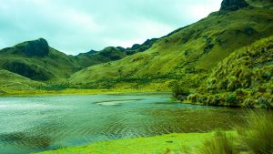  دانلود عکس طبیعت با کیفیت بالا 8k برای کامپیوتر