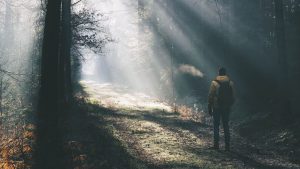  دانلود عکس طبیعت با کیفیت بالا 8k برای کامپیوتر