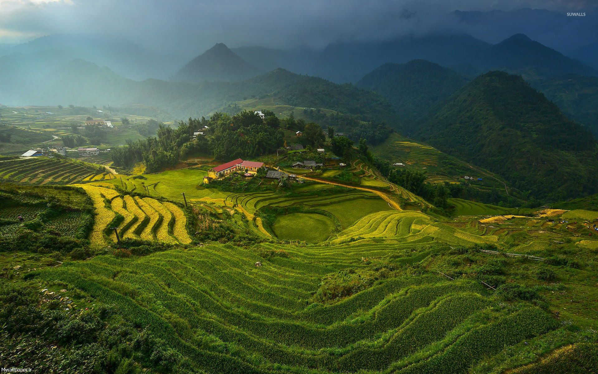 عکس با کیفیت طبیعت ویتنام