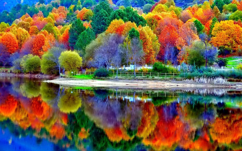 عکس باکیفیت انعکاس درختان رنگارنگ در دریاچه