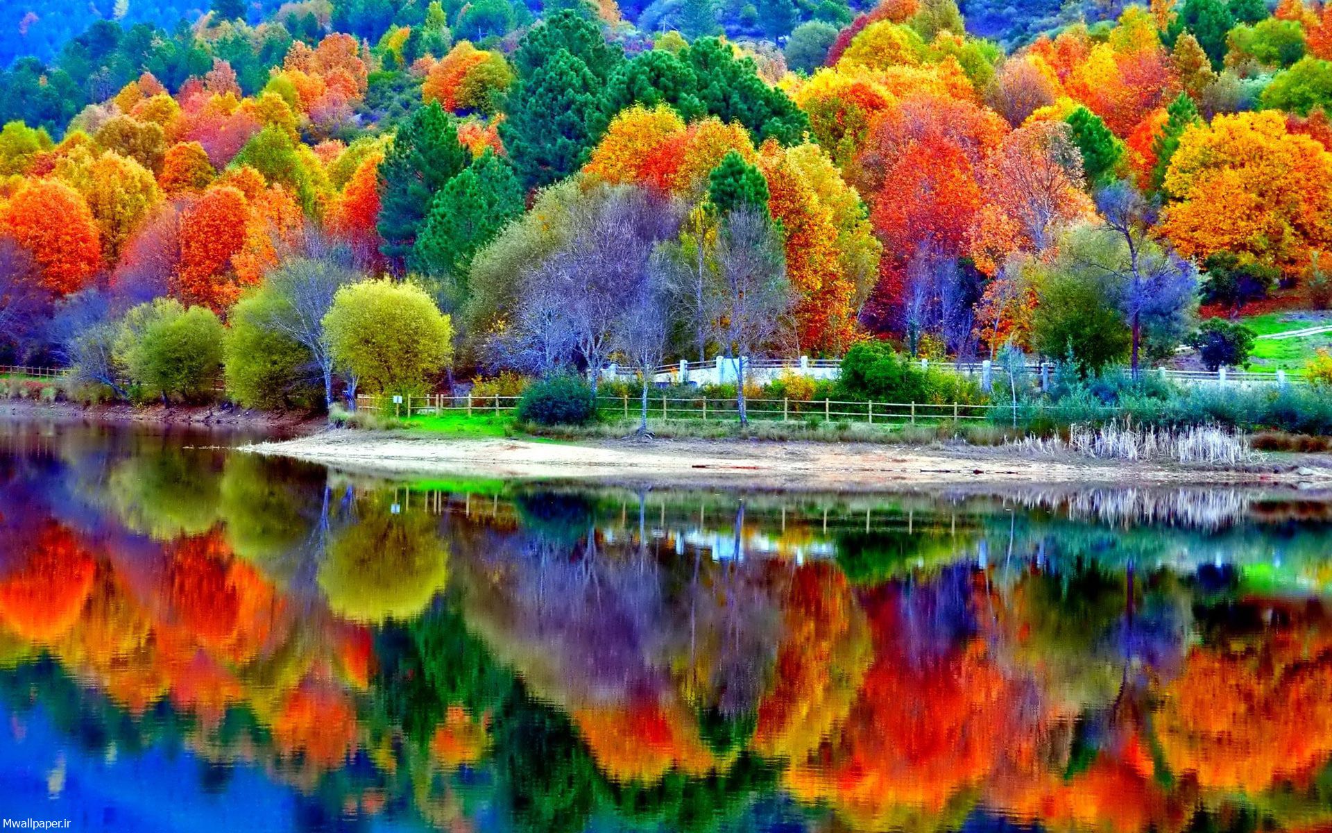 عکس باکیفیت انعکاس درختان رنگارنگ در دریاچه