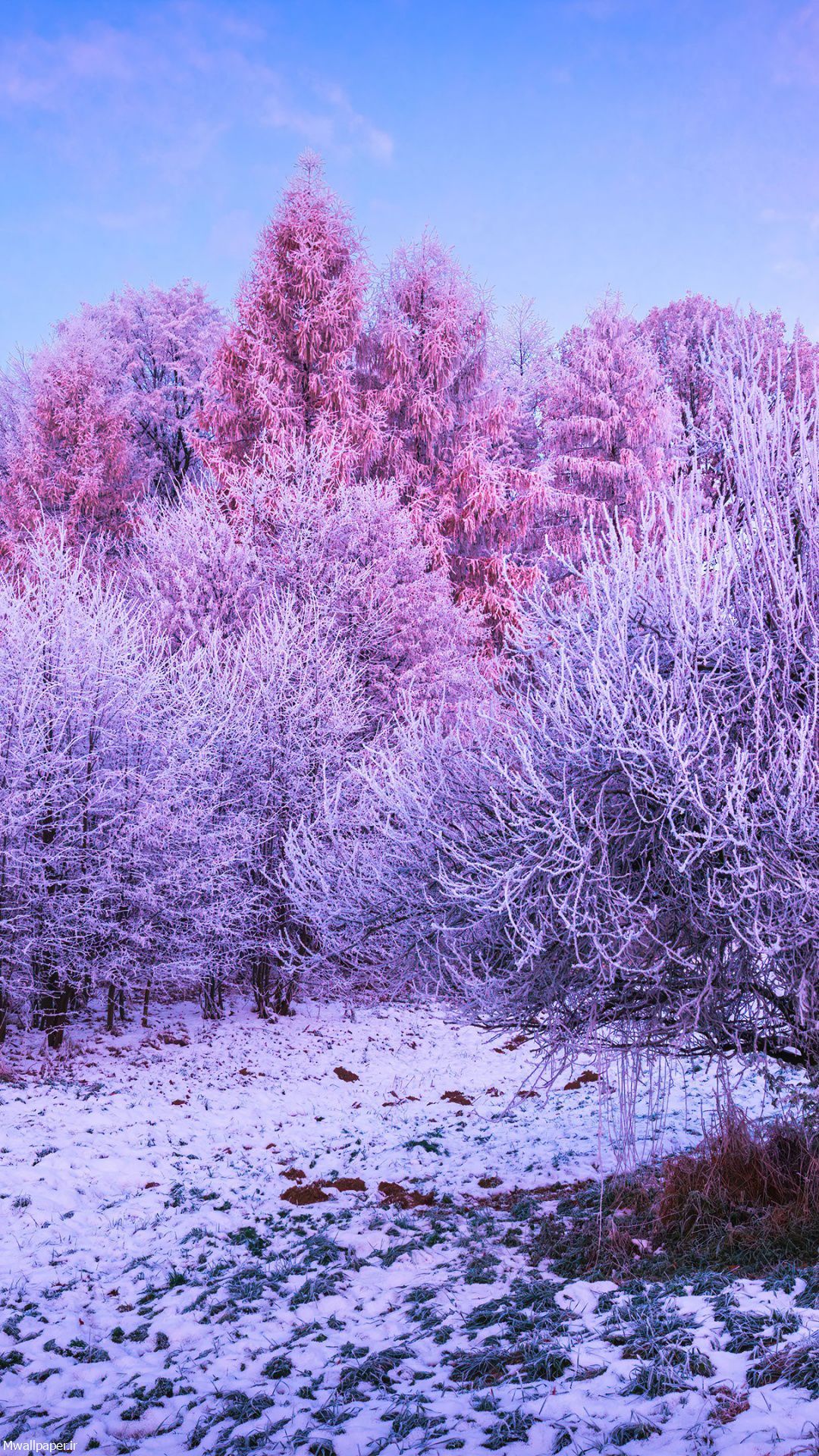عکس باکیفیت طبیعت زمستان