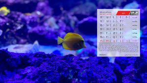 بک گراند تقویم دی ماه 1402 با عکس ماهی زیر آب