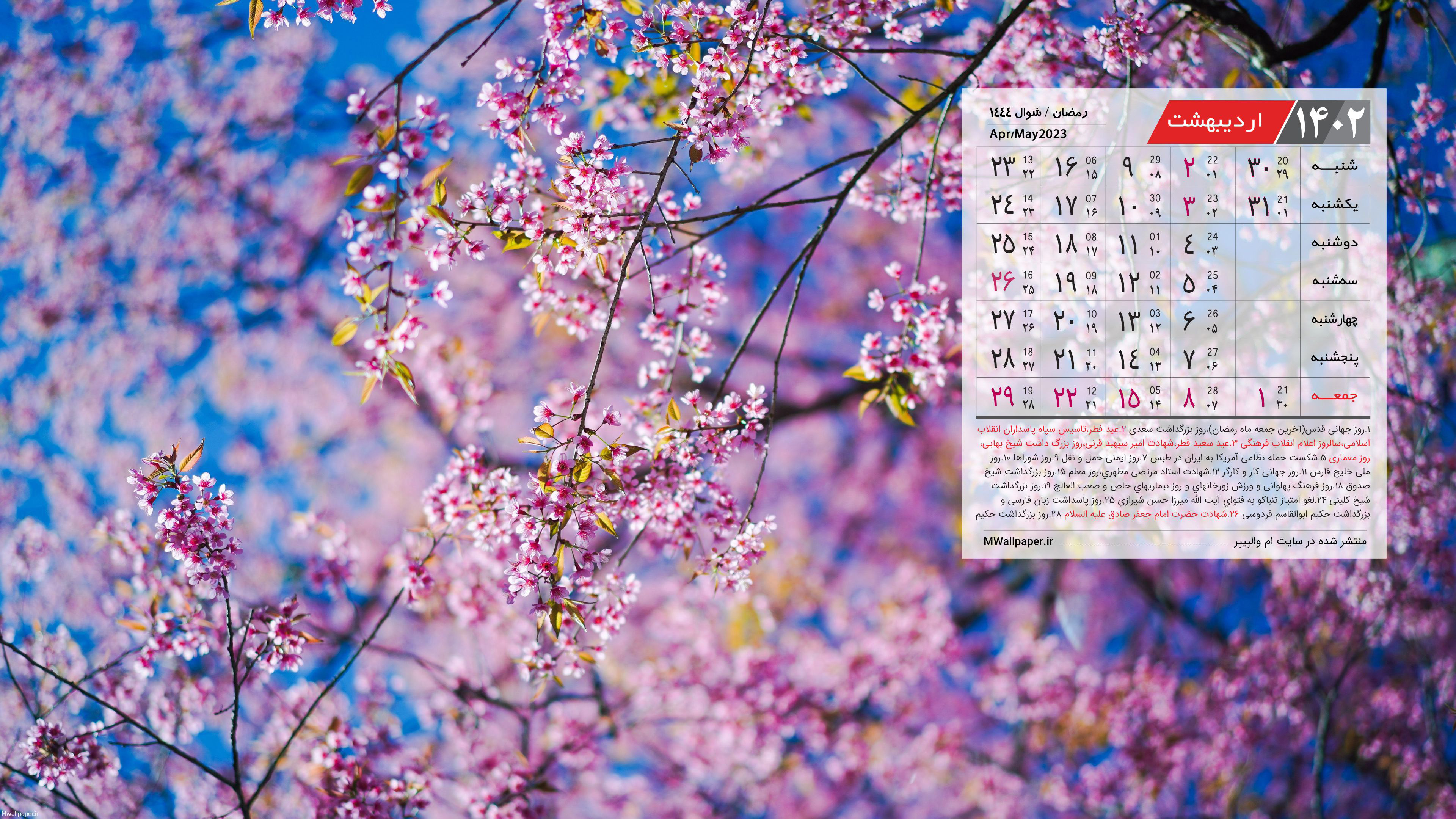 والپیپر تقویم اردیبهشت 1402 با عکس شکوفه های گیلاس بهاری