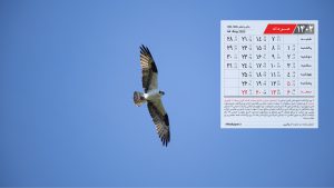 پس زمینه تقویم مرداد 1402 با عکس پرنده در آسمان