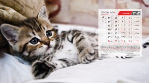 پس زمینه تقویم مهر 1402 با عکس گربه بامزه