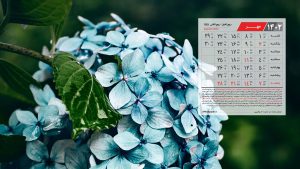 پس زمینه تقویم مهر 1402 با عکس گل آبی زیبا