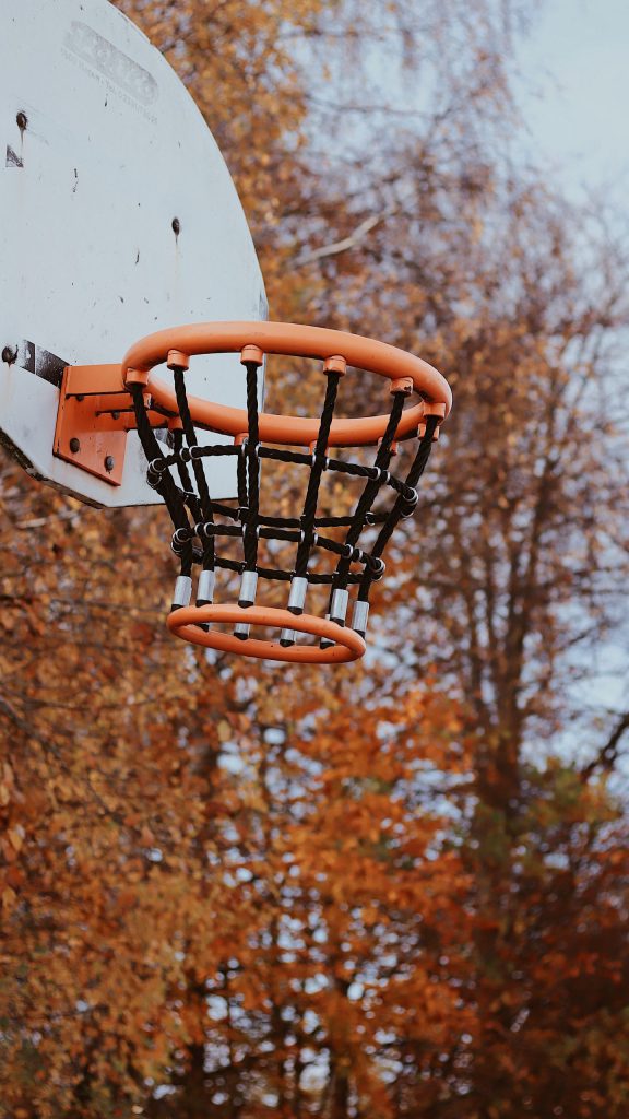 طبیعت پاییزی و سبد بسکتبال