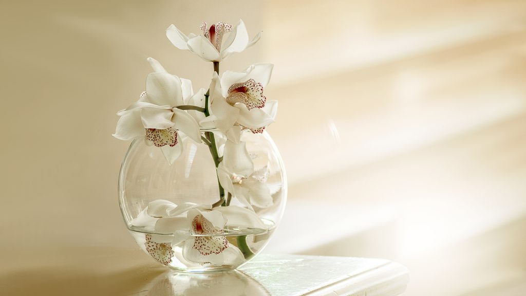 عکس گل ارکیده در گلدان خاص و فانتزی
