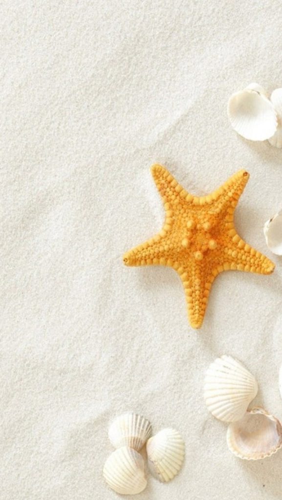 والپیپر آیفون صدفی ستاره دریایی ساحلی خالص
