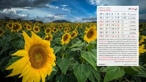 پس زمینه تقویم تیر 1403 با عکس مزرعه گل آفتابگردان